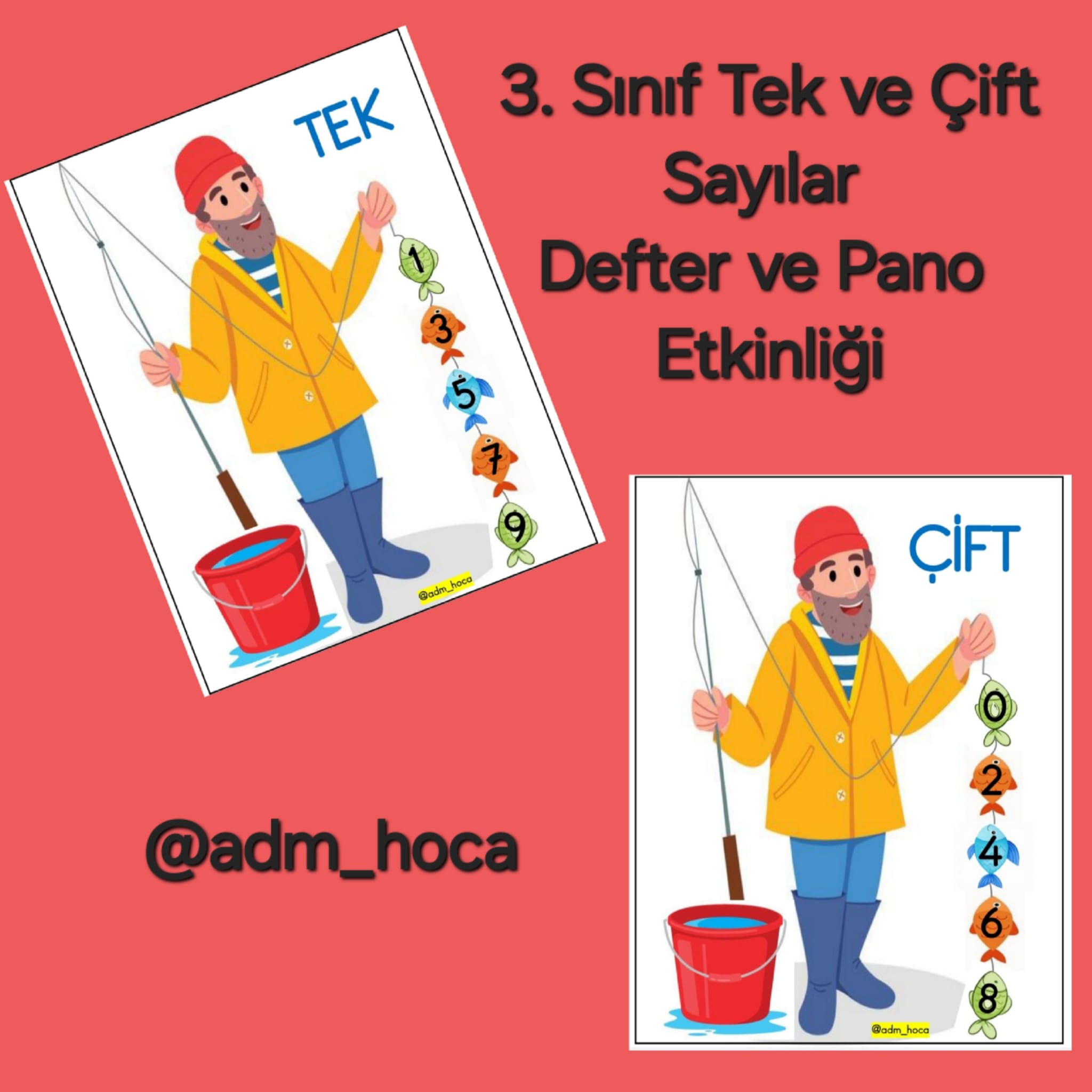 3. Sınıf Matematik Tek ve Çift Sayılar Pano ve Defter Etkinliği