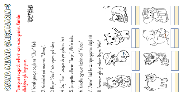 1. Sınıf Türkçe Okuma Anlama Ve Görsel Yorumla (Yönerge) 2