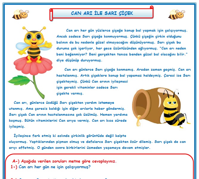 2.Sınıf Türkçe Can Arı ile Sarı Çiçek Okuma Anlama Metin Çalışması