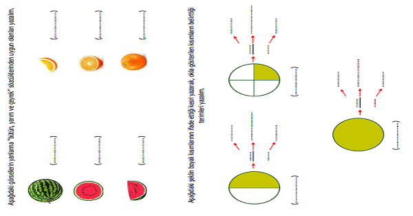 3.Sınıf Matematik Kesirler (Bütün, Yarım ve Çeyrek Kesirler) Etkinliği 3