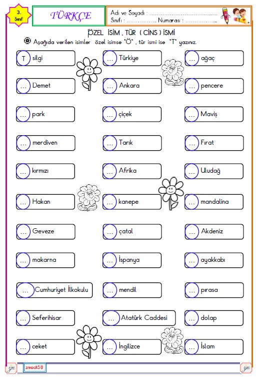 3. Sınıf Türkçe Özel İsim ve Tür İsmi Etkinliği 5