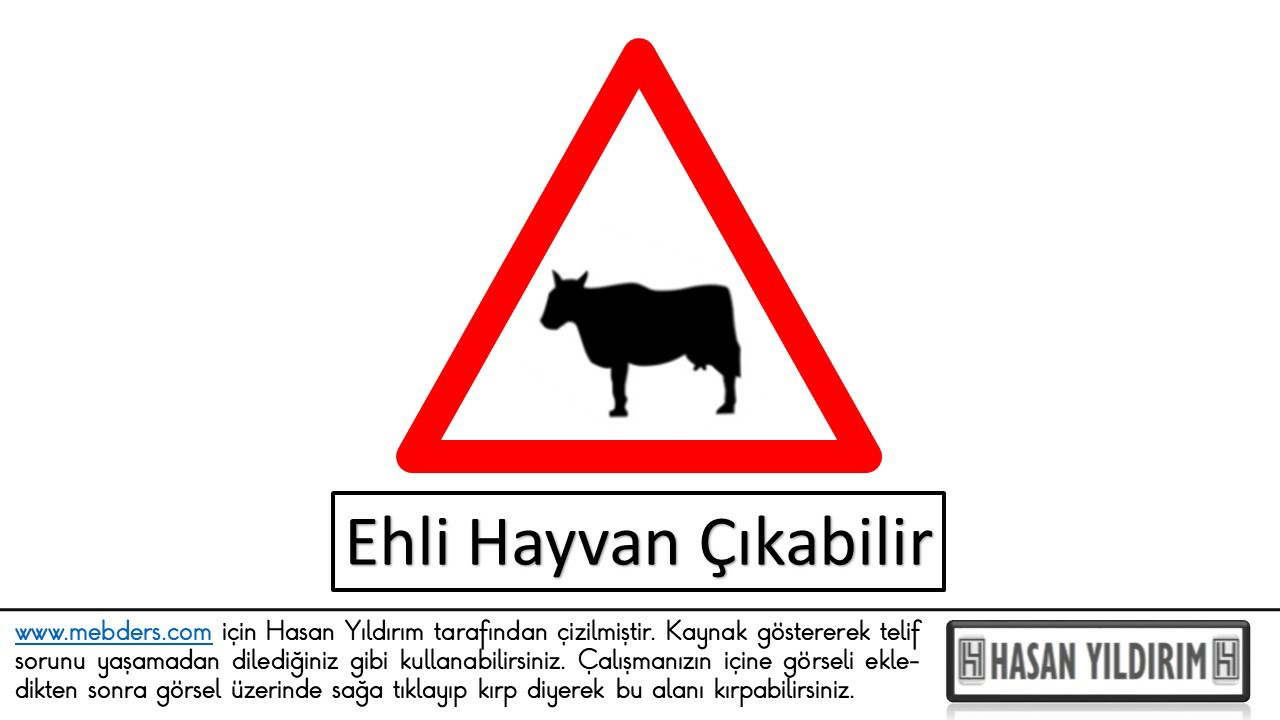 Ehli Hayvan Çıkabilir PNG