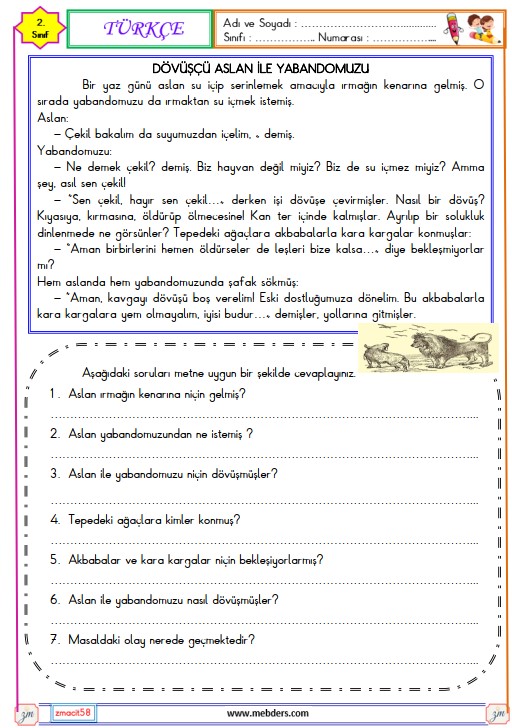 2. Sınıf Türkçe Okuma ve Anlama Metni Etkinliği (Dövüşçü Aslan ile Yaban Domuzu)