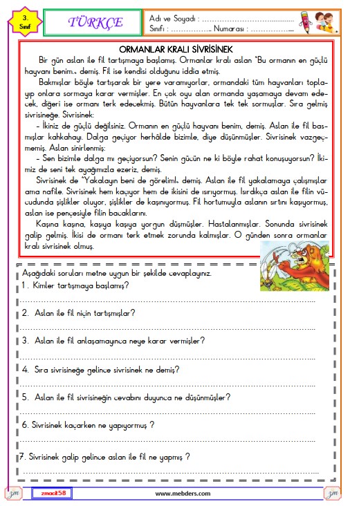 3. Sınıf Türkçe Okuma ve Anlama Metni Etkinliği (Ormanlar Kralı Sivrisinek)