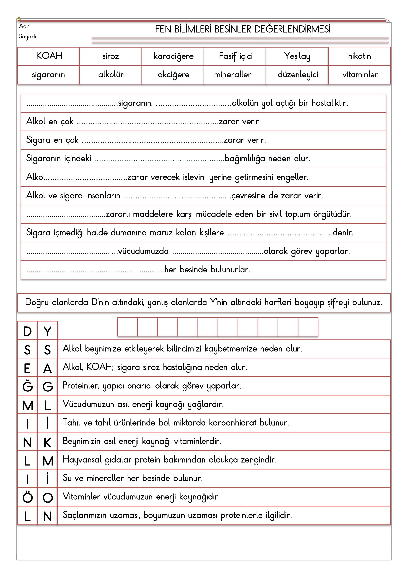 4.Sınıf - Fen Bilimleri Besinlerr Değerlendirmesi-2