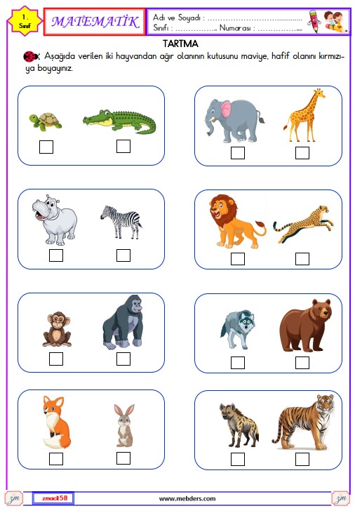 1. Sınıf Matematik Tartma Etkinliği 2