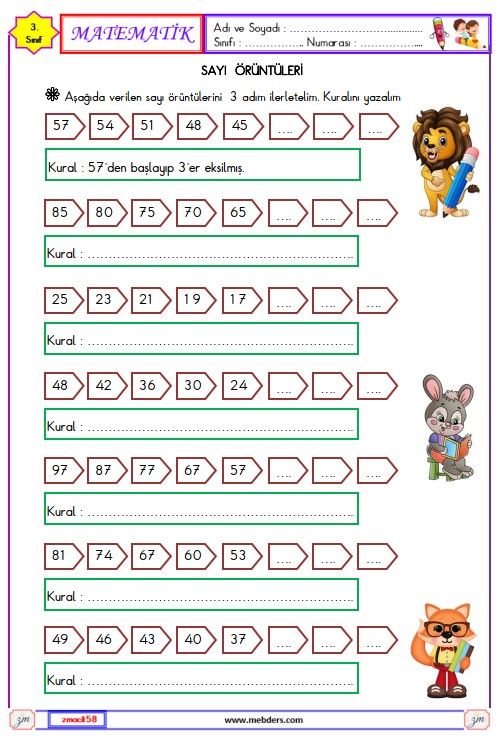 3. Sınıf Matematik Sayı Örüntüleri Etkinliği 2