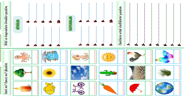 3.Sınıf Fen Bilimleri Canlı ve Cansız Varlıklar Etkinliği-2
