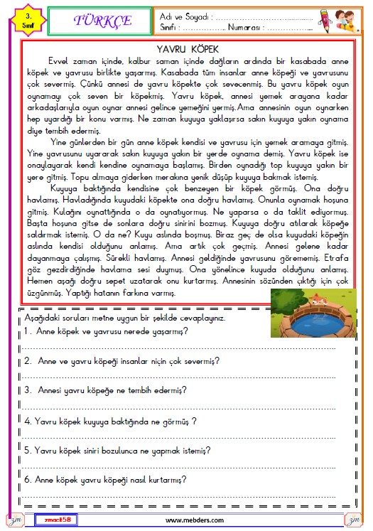 3. Sınıf Türkçe Okuma ve Anlama Metni Etkinliği 8 ( Yavru Köpek )