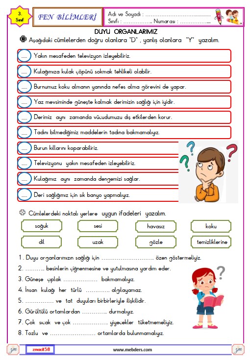 3. Sınıf Fen Bilimleri Duyu Organlarımız Etkinliği 4