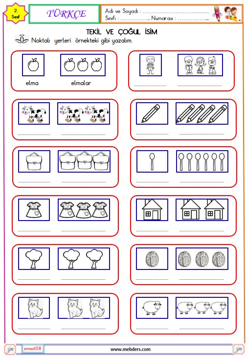 2. Sınıf Türkçe Çoğul İsim Etkinliği 3