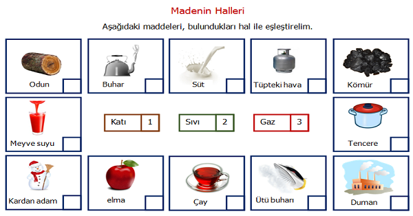 3.Sınıf Fen Bilimler Maddenin Halleri Etkinliği 1