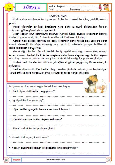 3. Sınıf Türkçe Okuma ve Anlama Metni Etkinliği (Korkak Kedi)