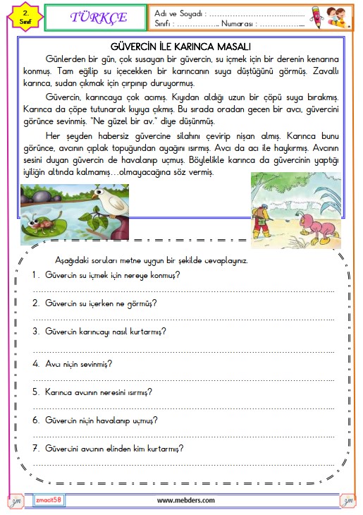 2. Sınıf Türkçe Okuma ve Anlama Metni Etkinliği (Güvercin ile Karınca)