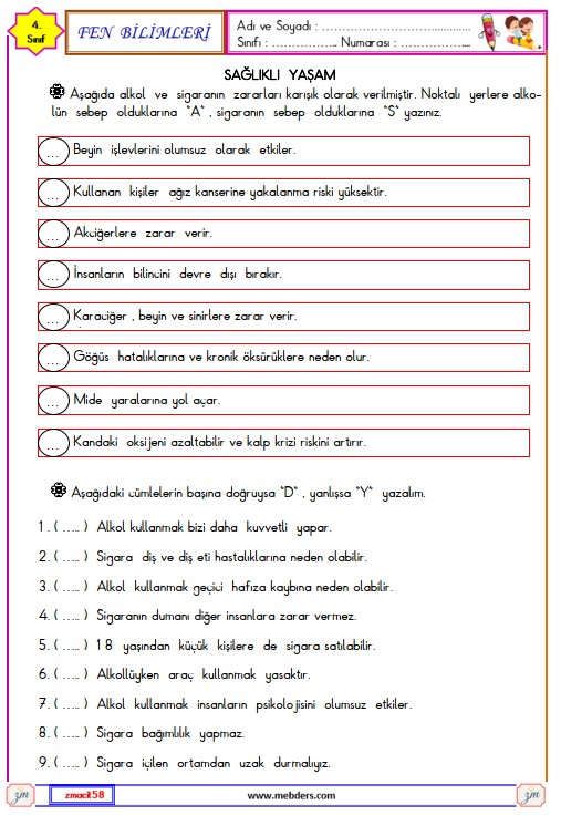 4. Sınıf Fen Bilimleri Sağlıklı Yaşam Etkinliği 2