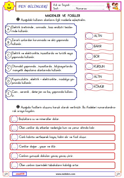 4. Sınıf Fen Bilimleri Madenler ve Fosiller Etkinliği 2