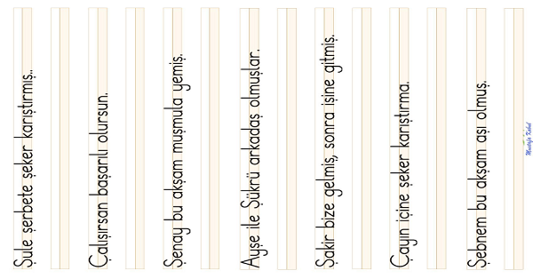1. Sınıf İlk Okuma Yazma ( Ş-ş Sesi ) Cümle Dikte Çalışması