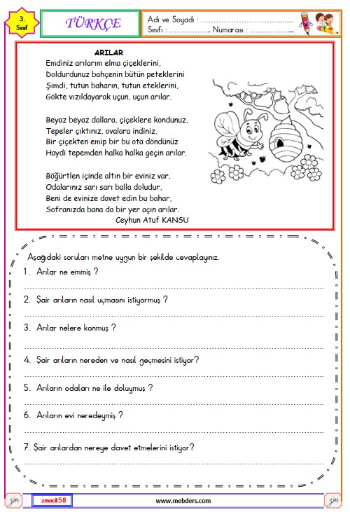 3. Sınıf Türkçe Okuma Ve Anlama Metni Etkinliği (Arılar)